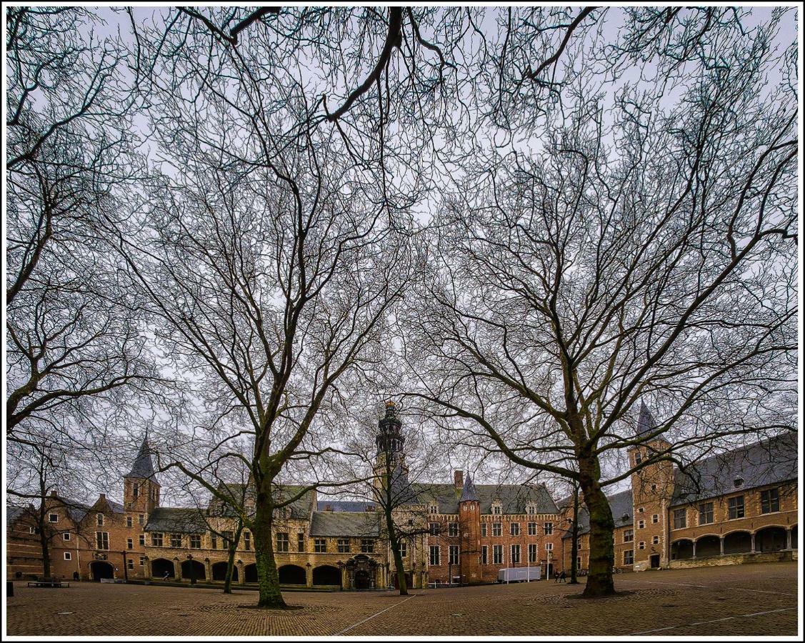 Abeelboom B And B Middelburg Dış mekan fotoğraf